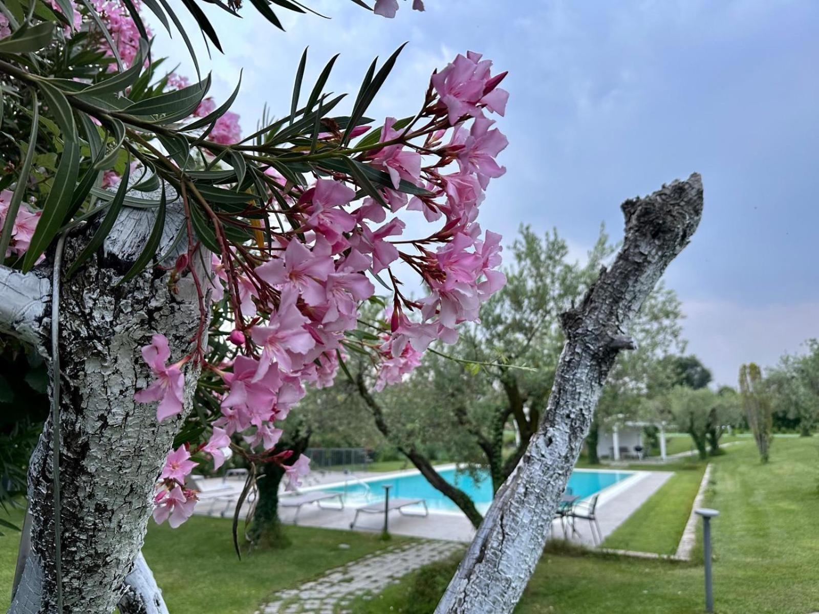 Villa Athena Charme Manerba del Garda Exterior foto